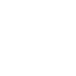 ico-vins